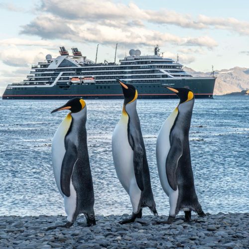 SeabournExpeditionpenguins exped