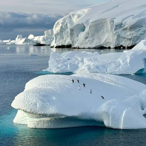 scenic expedition234