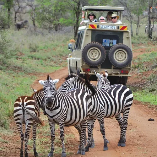 tauckland tour kenya